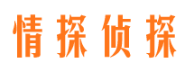 平房私人侦探